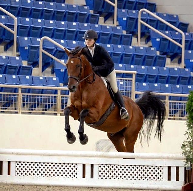 Bay horse and rider jumping at an indoor show