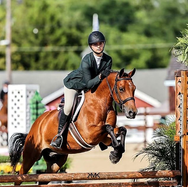 Bay horse and rider clearing a jump at an outdoor show