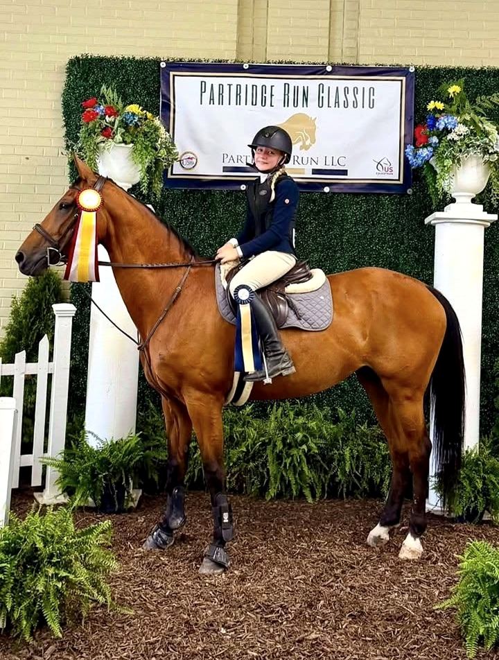 Rider on a bay horse with ribbons at the Partridge Run Classic