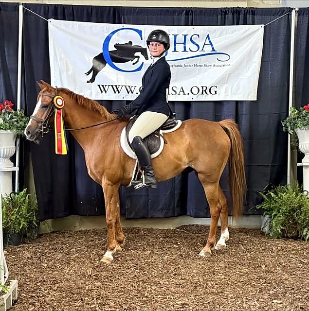 Chestnut horse and rider with a ribbon at a junior horse show